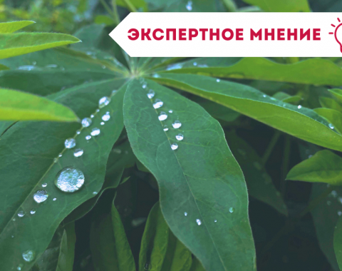 Памятники природы Московского края помогают сохранять экологию