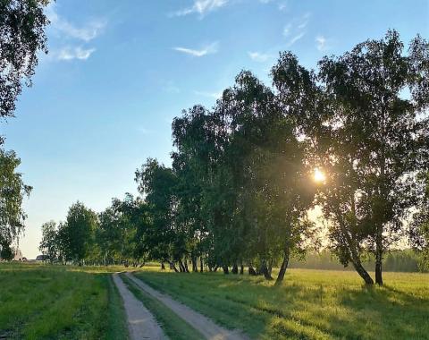 Сохранить «зелёное богатство» – одна из задач Минприроды России